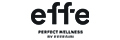 logo effegibi