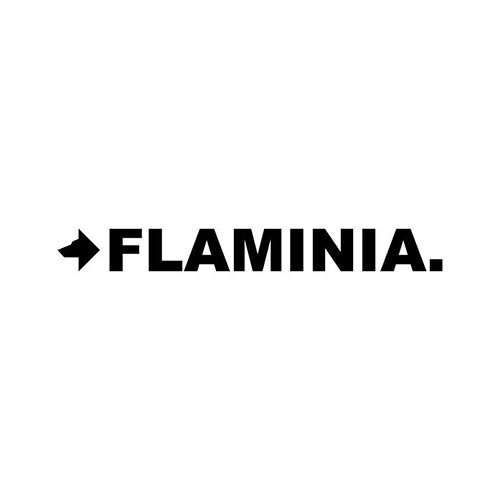 Logo flaminia